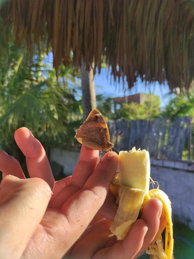 Vila Da Sereia Hostel E Pousada Icaraí Esterno foto